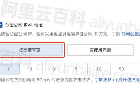 阿里云新加坡服务器公网带宽价格表（固定带宽/流量收费）