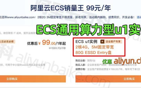 阿里云ECS服务器u1实例2核4G5M带宽优惠价199元/年性能测评