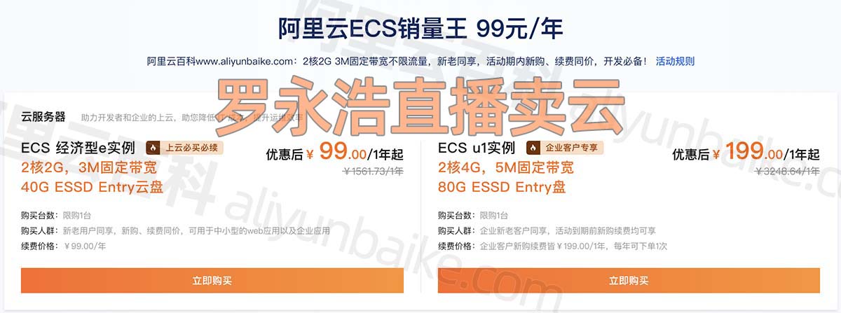罗永浩阿里云服务器ECS经济型e实例