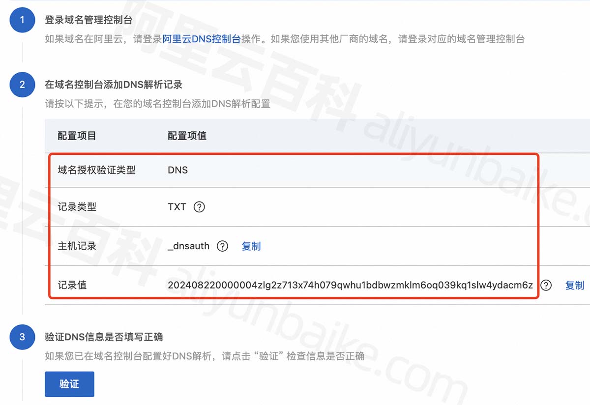 域名DNS验证解析记录信息