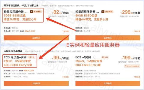 阿里云服务器e实例和轻量应用服务器有啥区别？哪个好？