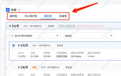 阿里云轻量应用服务器：通用型/多公网IP型/国际型/容量型详细介绍