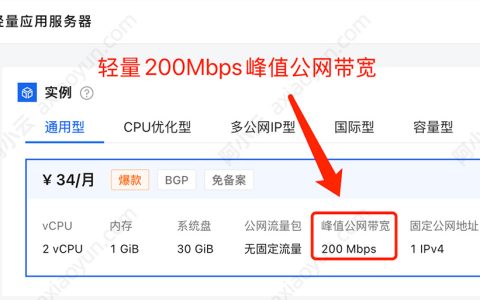 买前必看：阿里云轻量应用服务器200Mbps峰值公网带宽限制说明