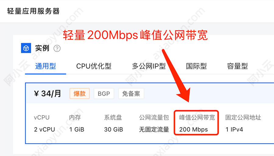 阿里云轻量应用服务器200 Mbps峰值公网带宽