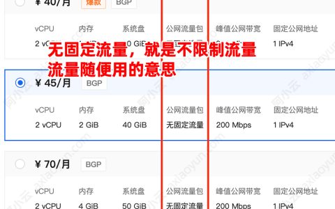 阿里云轻量应用服务器“无固定流量”是什么意思？