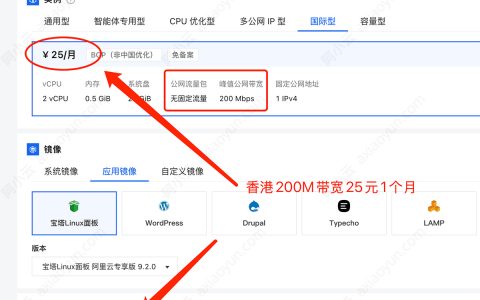 阿里云香港服务器选择ECS还是轻量？如何选择有啥区别？