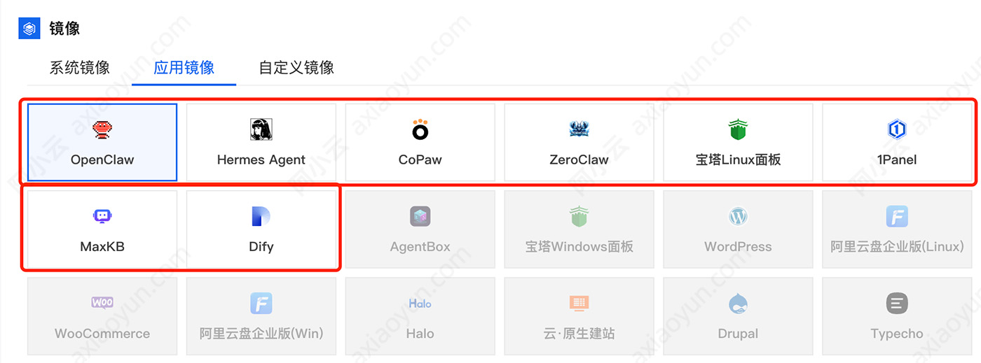 轻量智能体实例支持镜像
