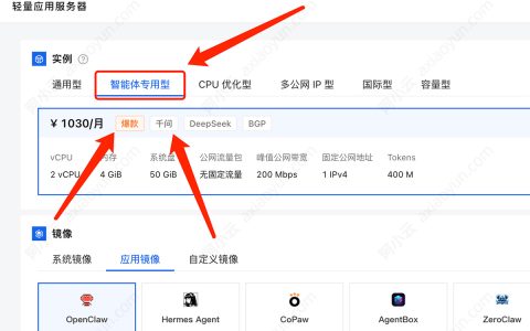 阿里云轻量应用服务器智能体专用型：自带Token搭建Agent更划算！