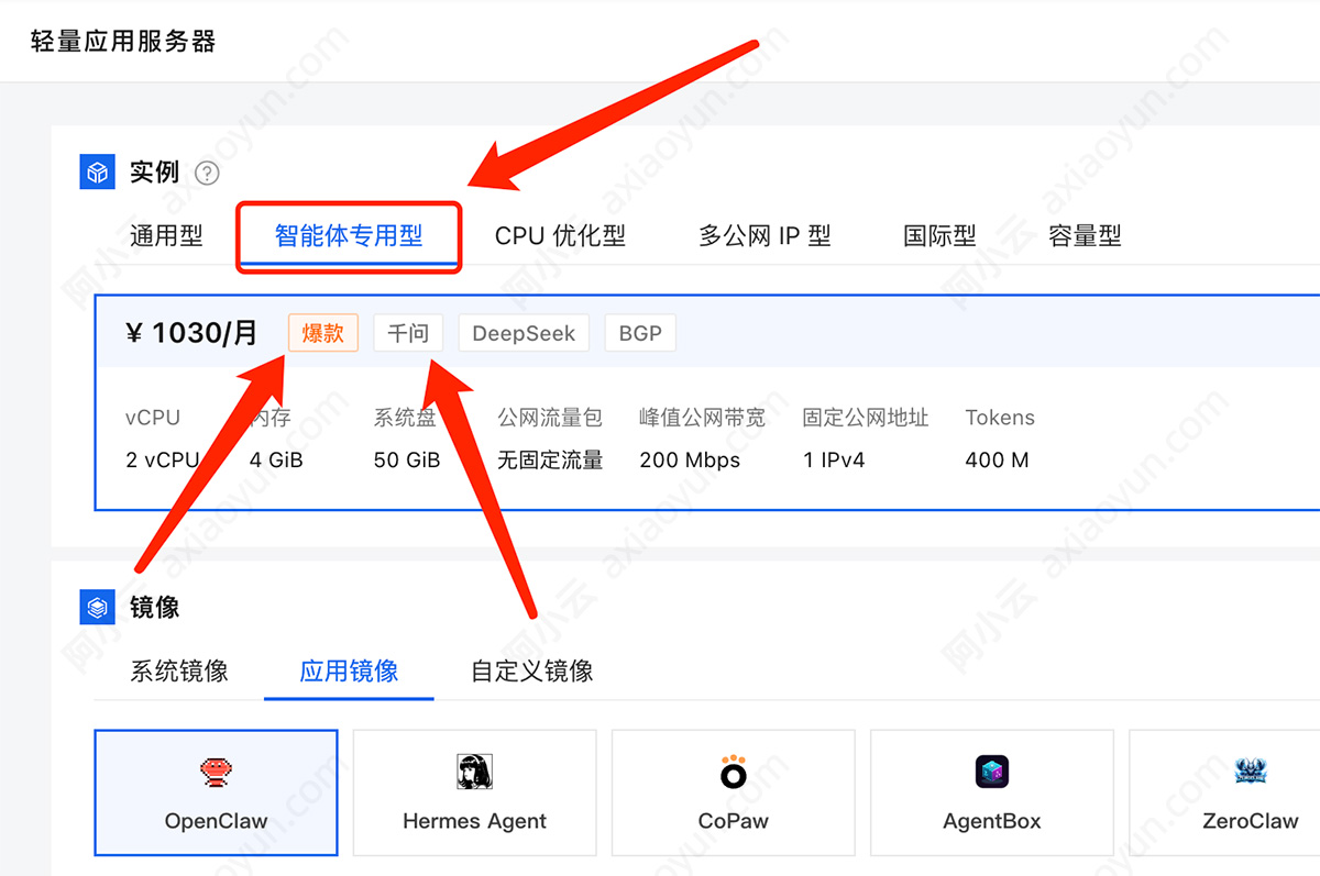 阿里云轻量应用服务器智能体专用型