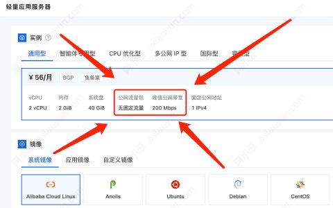 为什么选择阿里云轻量应用服务器？这两点是你无法抗拒的理由！